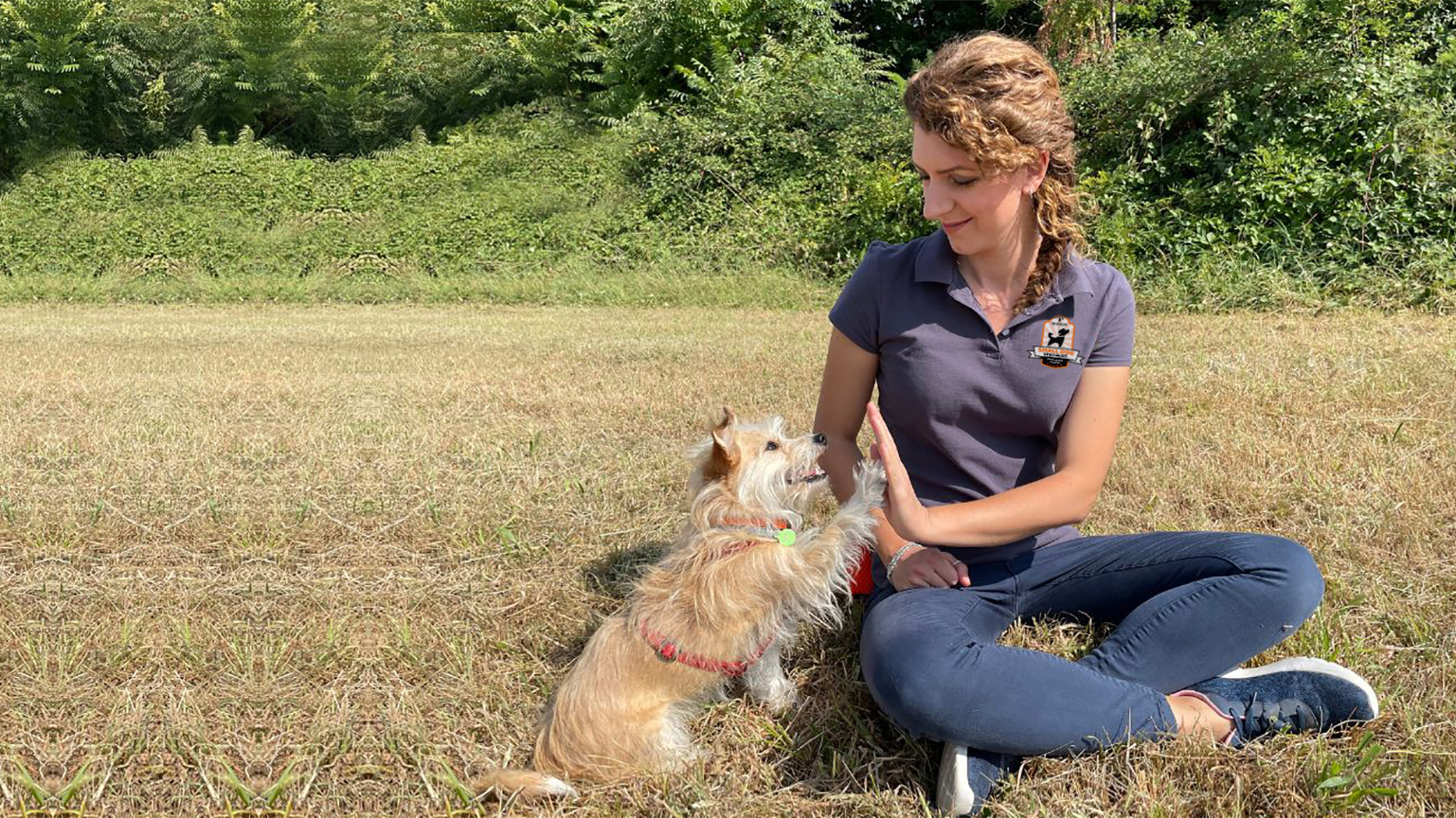 educatore cinofilo cani di piccola taglia