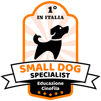 small dog specialist educazione cani taglia piccola