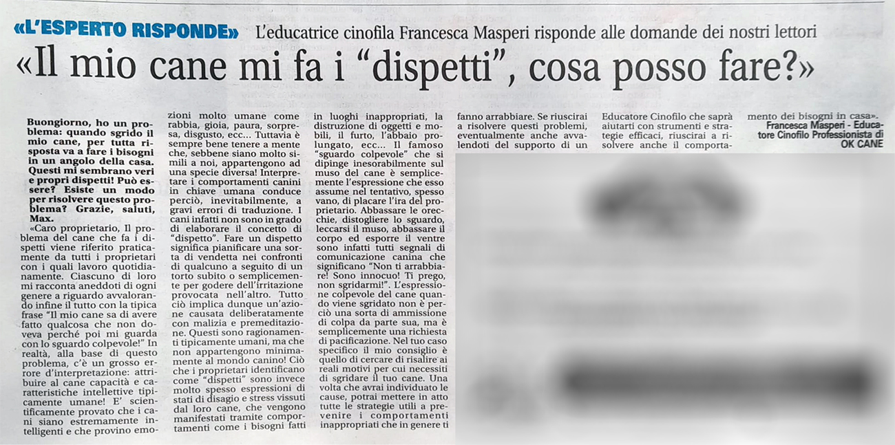 settegironi articolo giornale Masperi Francesca